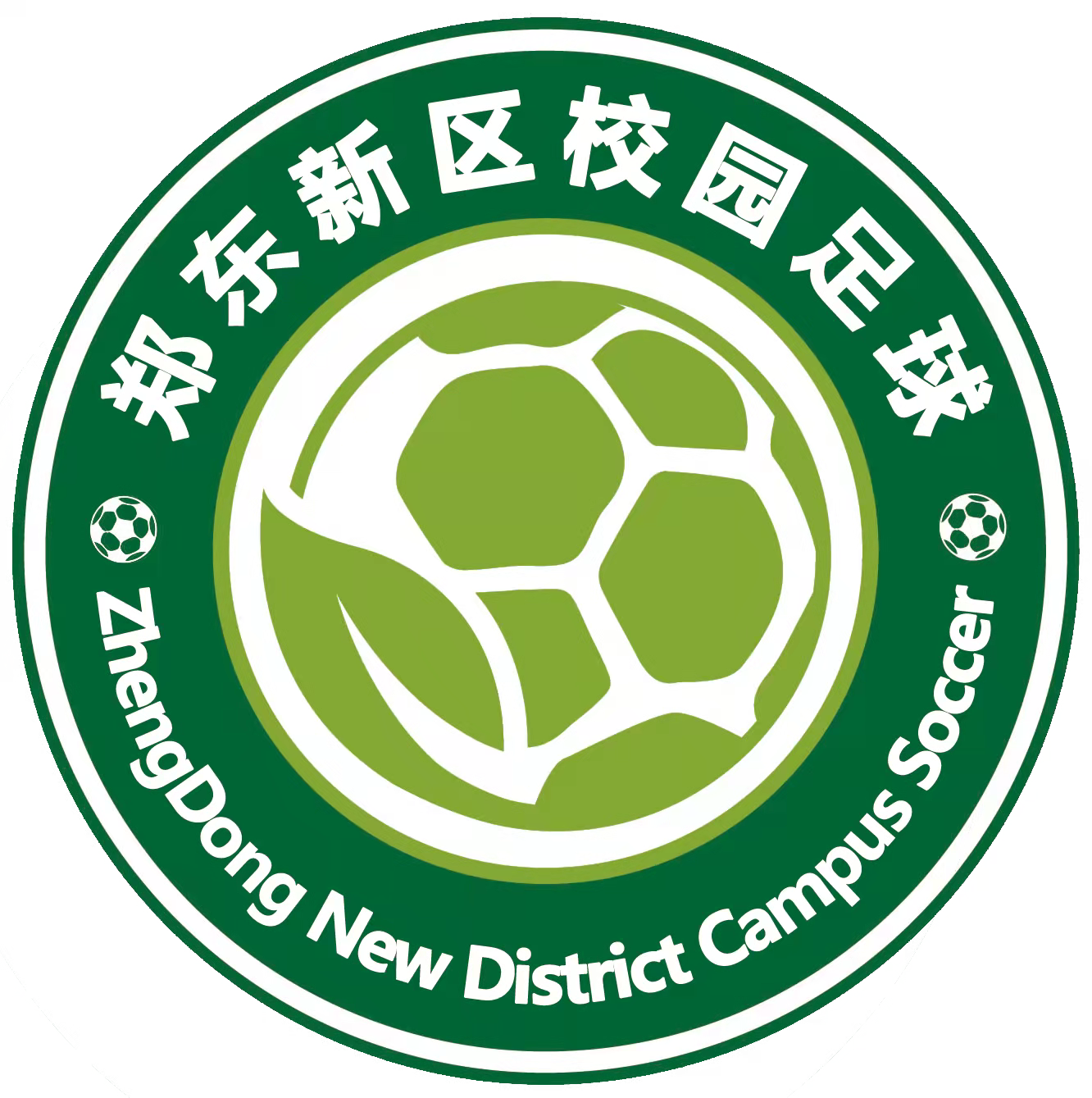 郑东新区校园足球领导小组办公室